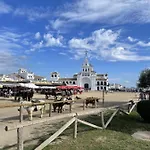 El Rocio Disfruta Del Parque Natural De Donana