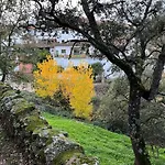 El Zarzo De Nemesio, Alberca Barbacoa 2 Hab 4 Pers Mas 2 Max