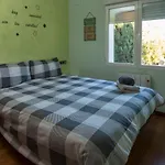 Apartamento El Pilar 4