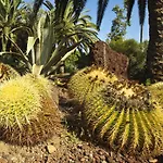 Finca Tocama