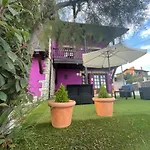 La Casa De Noelia