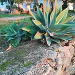 Casa El Tio Juan