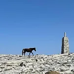 Apartamentos Adarbe