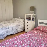 Apartamento Los Lirios Logrono