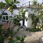 Finca El Cisne, Torrox