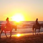 Levante