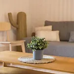 Casita Amarilla