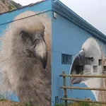 Penas De Arnedillo