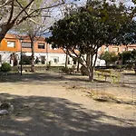 Paz Jardin-Madrigueras