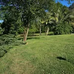 La Rotiza