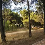 Apartamento El Parque Terraza Con Vistas Montana Entorno Tranquilo Ideal Mascotas