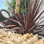 Piso de lujo nuevo con jardin privado y aire acondicionada