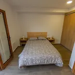 Cal Planell Casa Rural