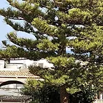 Apartamento Con Playa Del Arenal A Los Pies