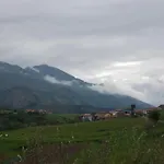 El Teju