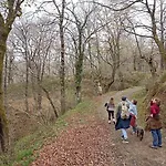 Amplia y cómoda casa de piedra con porche y jardín