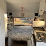 Caravana Vikinga