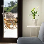 Apartamentos Terraza Ega