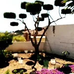 Casa Vacacional