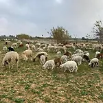 Casa Im Andalusischen Look In Der Naehe Von Chipiona