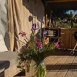 Tienda De Safari Almagro