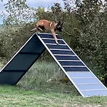La Teulera
