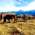 La Casita De La Montana