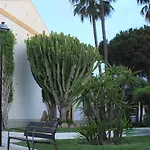 Birds Paradise Vera Coast