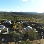 Zielo De Levante
