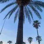 Sol