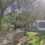 Flor De Pita