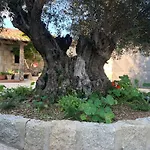La casita del hortelano