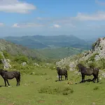El Telar