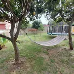 La Casa De Las Ranas