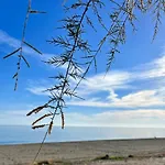 Paraiso Del Sol