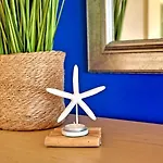 Ferienwohnung Jandia Dream