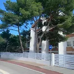 Apt Rex Con 2 Camere