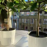 Un Hogar En El Centro - La Casa De Ion Parking Gratuito