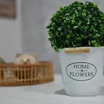 Aroma Apartamento Olvera