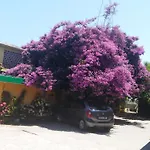 Albergue O Corisco