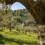 Agroturismo Muleta De Ca S\'Hereu
