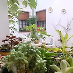 Hospederia y Aptos Casa de las Piedras