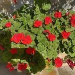Posada La Victoria