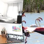 Duplex Double Terrasse Et Balcon Au Coeur Du Delta De L\'Ebre