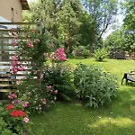 La Ventanita Del Campo