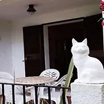 Bungalow Le Petit Chat