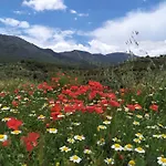 Cortijo Don Enrique
