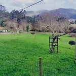 Casa familiar con finca privada (Orolterra)