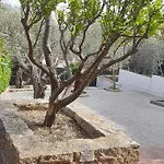 Casa Cari