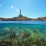 Apartamento Cabo De Palos - La Manga Con Aire Acondicionado